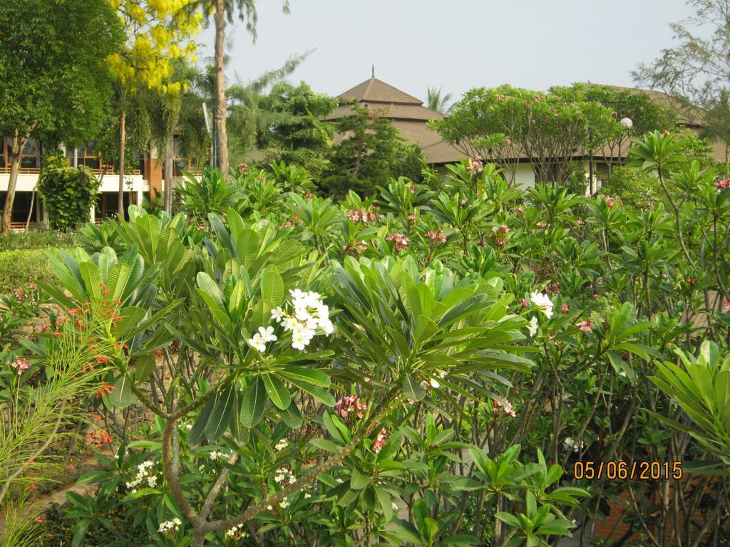 Aye Yar River View Resort Bagan Luaran gambar